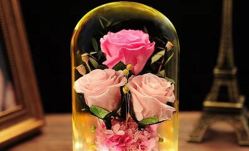 Forever roses