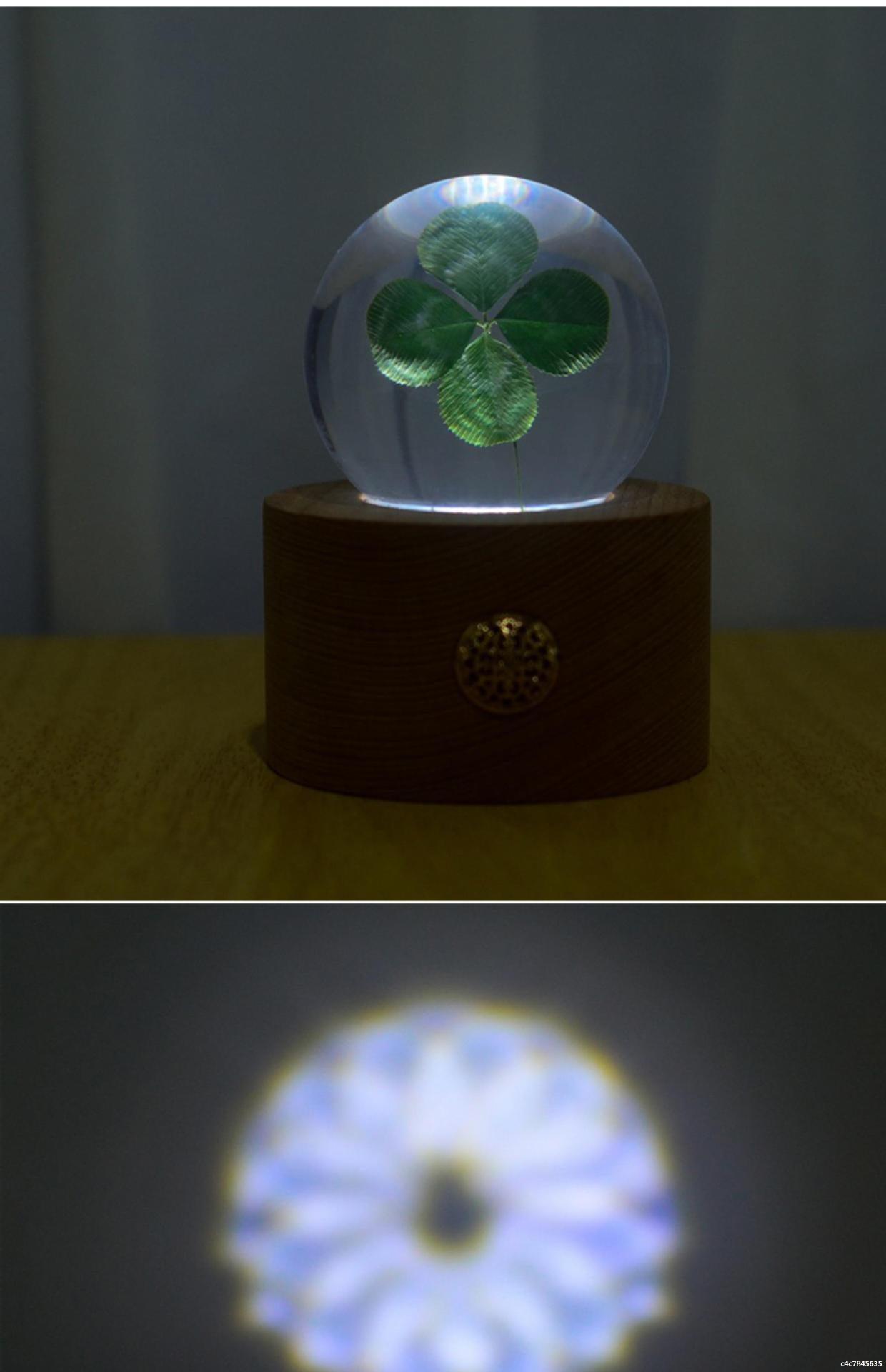 Natural Lucky Four-Leaf Clover Plant Specimen Night Light Decoration Crystal Ball - F.B DAISY