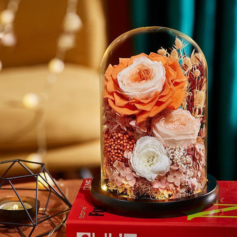 preserve roses forever - F.B DAISY