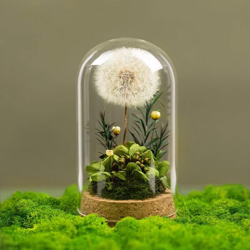 Died pressed flowers-Dandelion - F.B DAISY