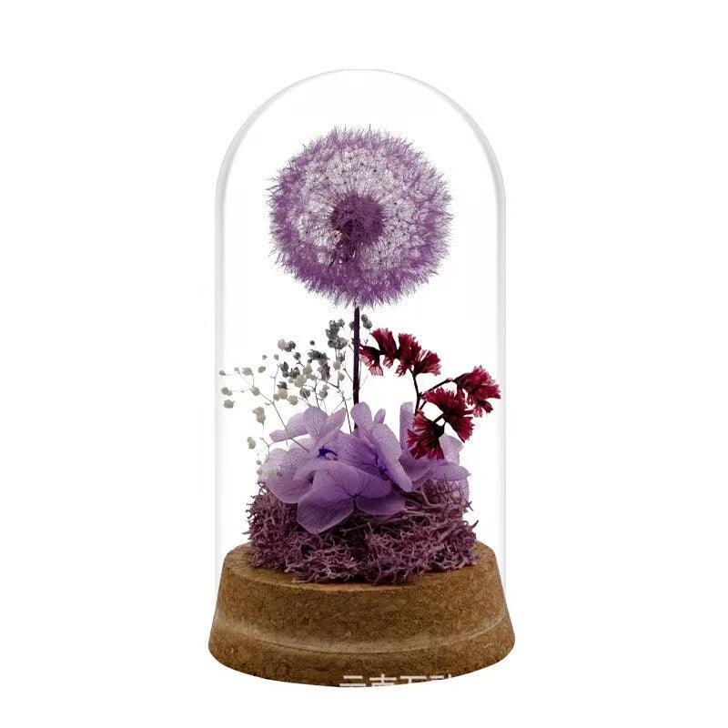 Died pressed flowers-Dandelion - F.B DAISY