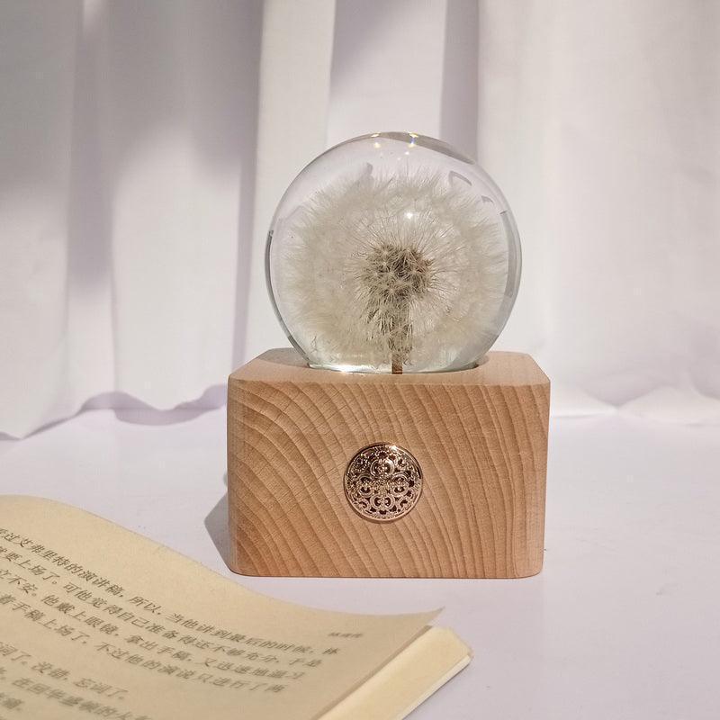 Natural Lucky Four-Leaf Clover Plant Specimen Night Light Decoration Crystal Ball - F.B DAISY