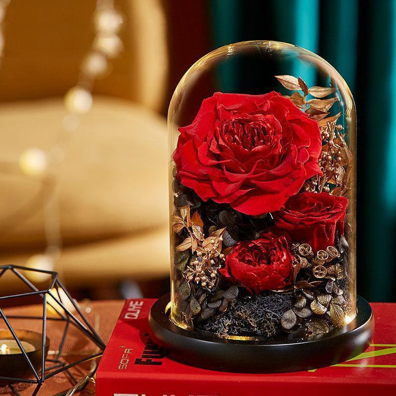 preserve roses forever - F.B DAISY