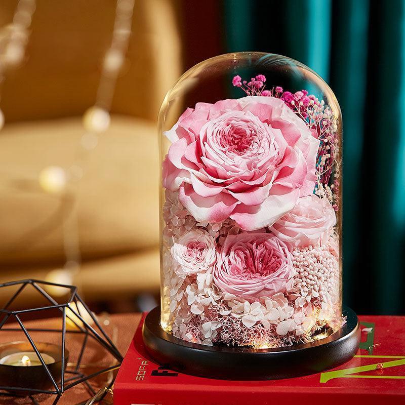 preserve roses forever - F.B DAISY