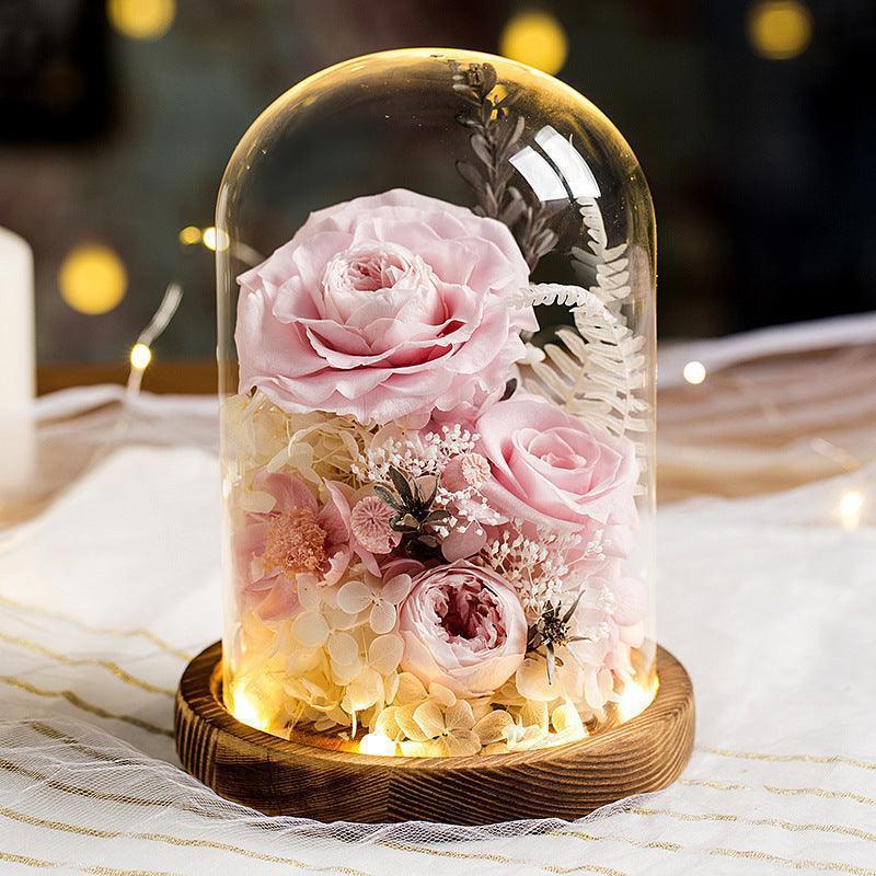 preserve roses forever - F.B DAISY